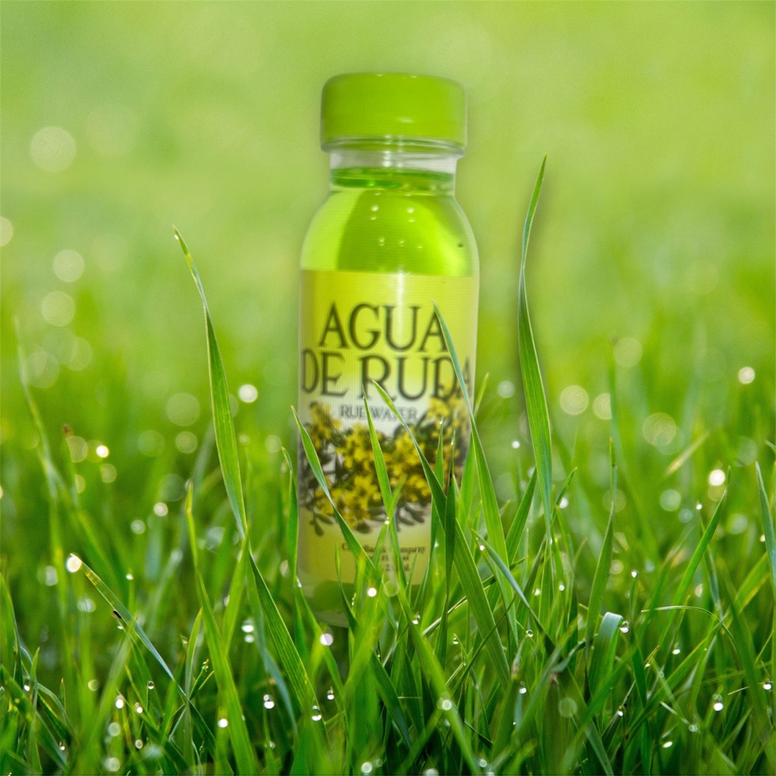 Agua de ruda